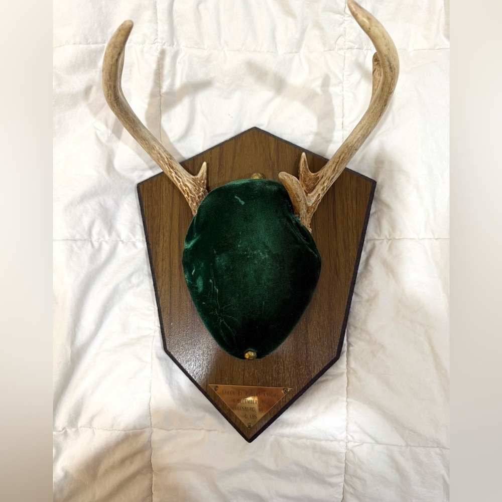 Green Velvet Antler Wall Decor